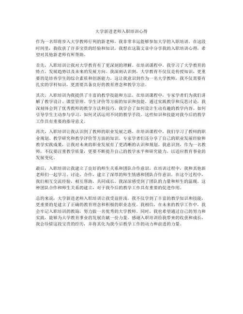 大学新进老师入职培训心得