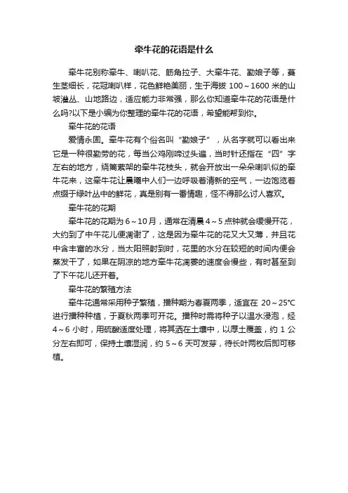 牵牛花的花语是什么