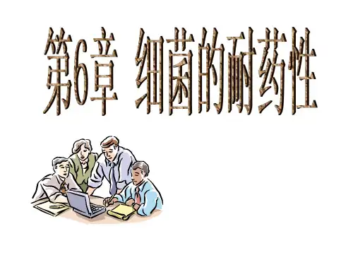 临床微生物与检验 第6章  细菌的耐药性