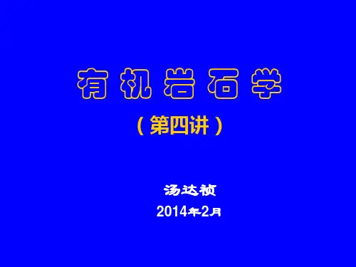 有机岩石学第四讲2014
