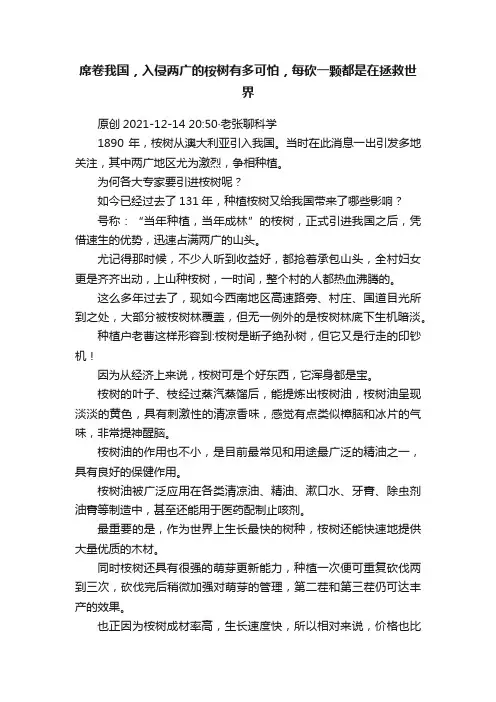 席卷我国，入侵两广的桉树有多可怕，每砍一颗都是在拯救世界