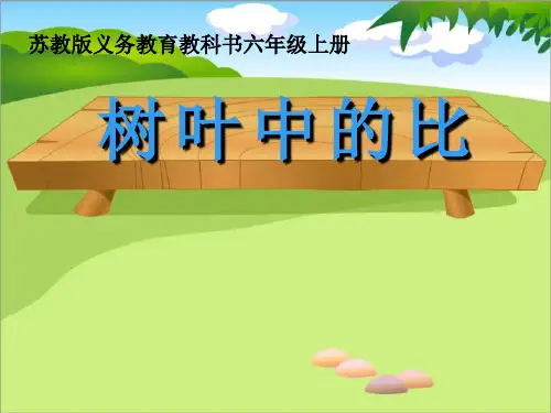 苏教版六年级上册数学《树叶中的比》课件