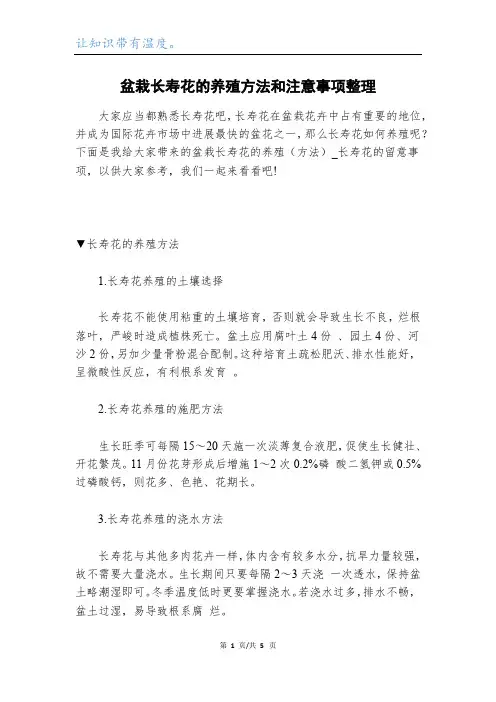 盆栽长寿花的养殖方法和注意事项整理