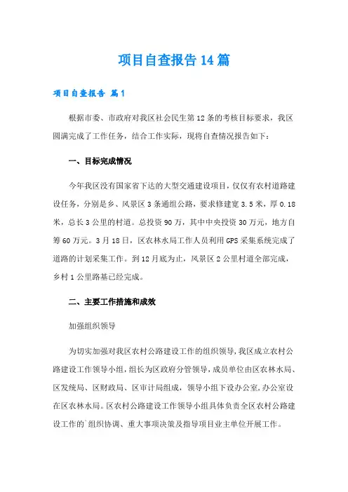 项目自查报告14篇