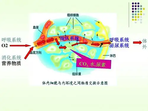 3.1.2内环境稳态的重要性