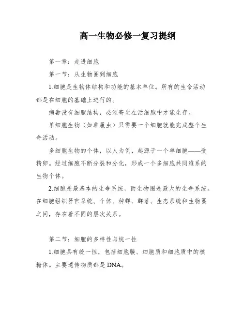 高一生物必修一复习提纲