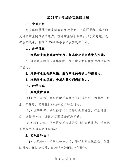 2024年小学综合实践课计划