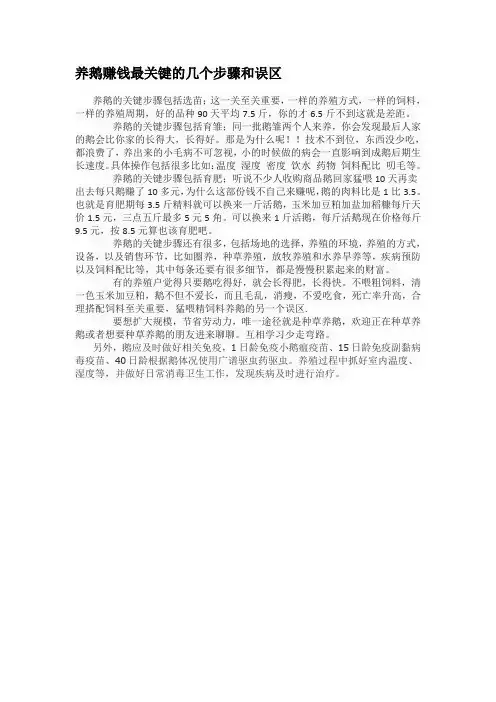 养鹅赚钱最关键的几个步骤和误区