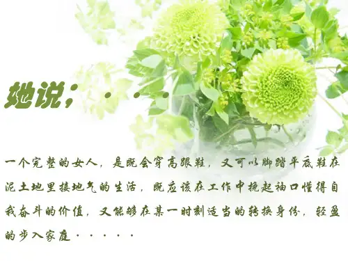 杨澜简介PPT