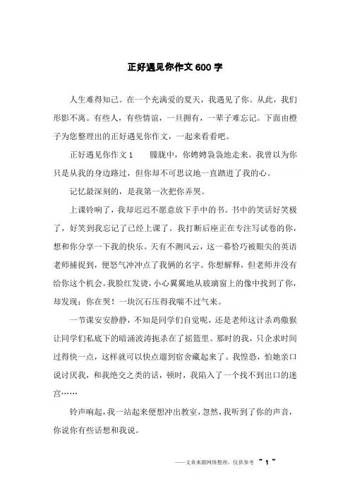 正好遇见你作文600字