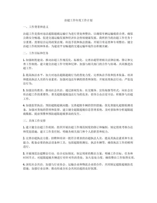 治超工作年度工作计划