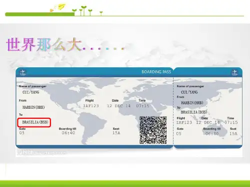 巴西 (共30张PPT)