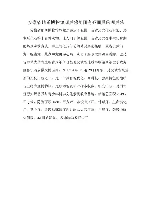 安徽省地质博物馆观后感里面有铜面具的观后感