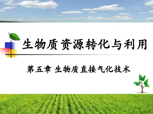 生物质资源转化与利用 第五章 生物质直接气化技术