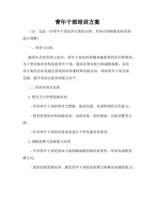 青年干部培训方案