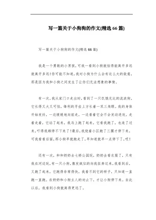 写一篇关于小狗狗的作文(精选66篇)