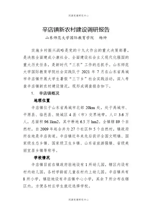 辛店镇新农村建设调研报告