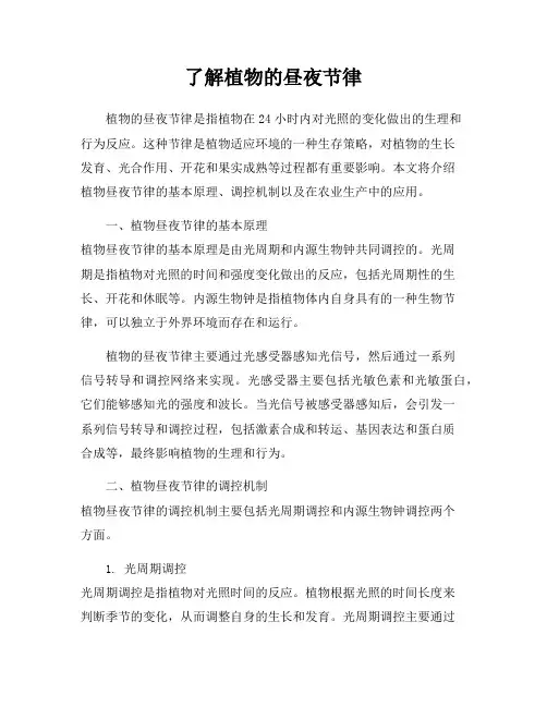 了解植物的昼夜节律