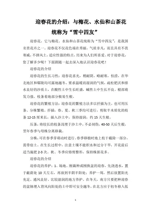 迎春花的介绍：与梅花、水仙和山茶花统称为“雪中四友”
