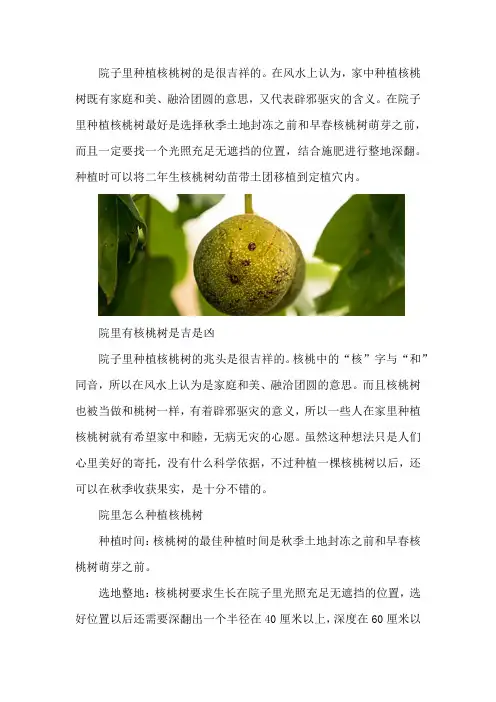 院里有核桃树是吉是凶