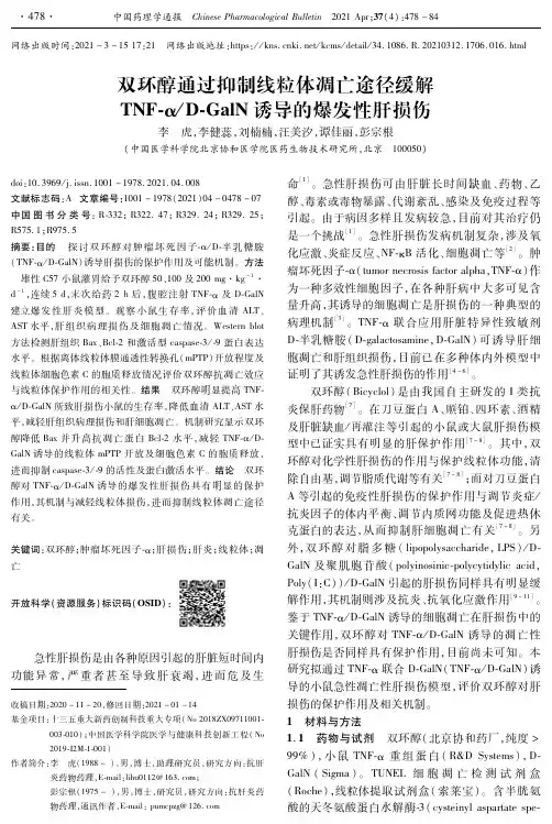 双环醇通过抑制线粒体凋亡途径缓解TNF-αD-GalN诱导的爆发性肝损伤