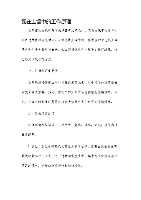 氮在土壤中的工作原理