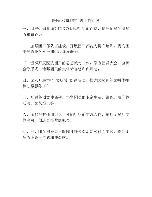 医院支部团委年度工作计划