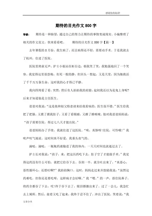 期待的目光作文800字