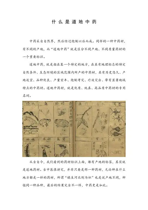 什么是道地中药