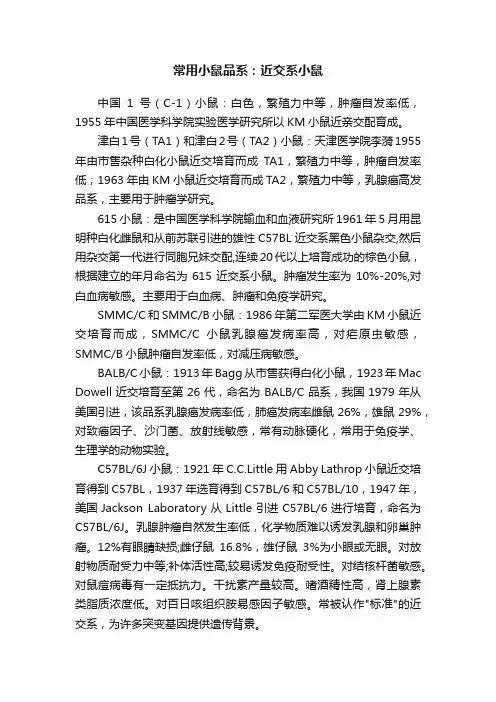 常用小鼠品系：近交系小鼠