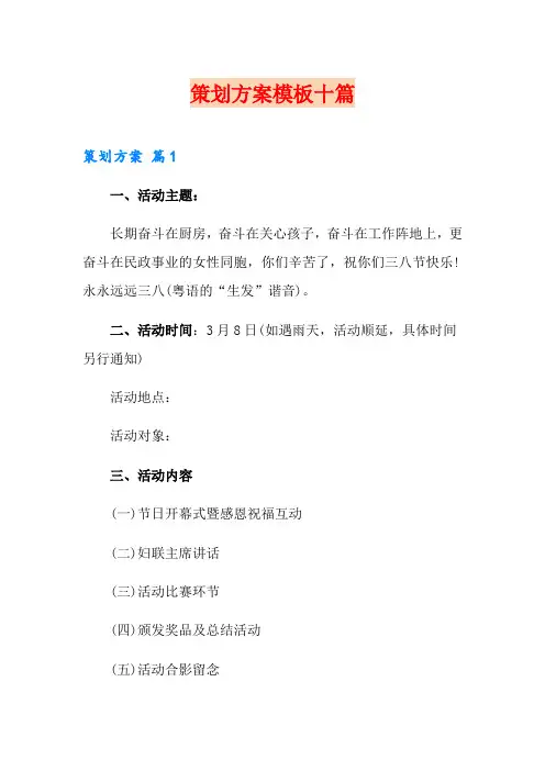(word版)策划方案模板十篇
