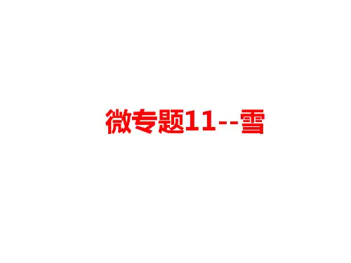 雪-高三地理一轮复习微专题