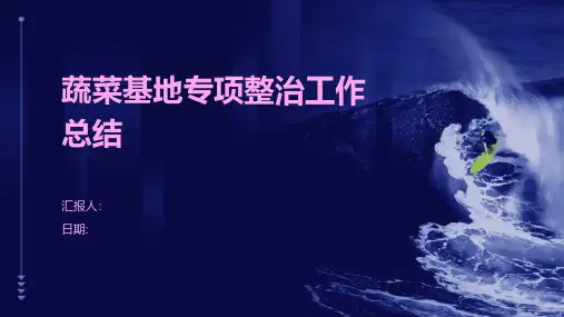 蔬菜基地专项整治工作总结