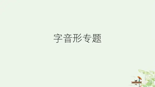 初中语文字音字形专题
