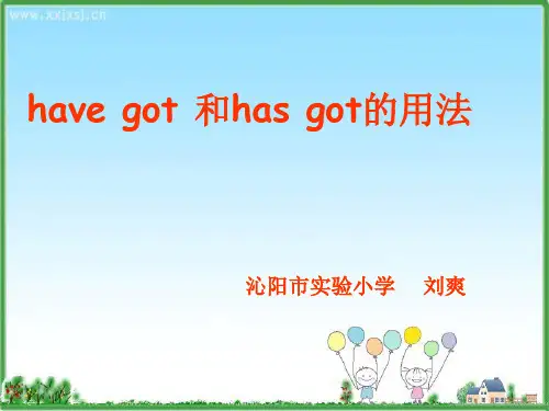 have got has got 的用法