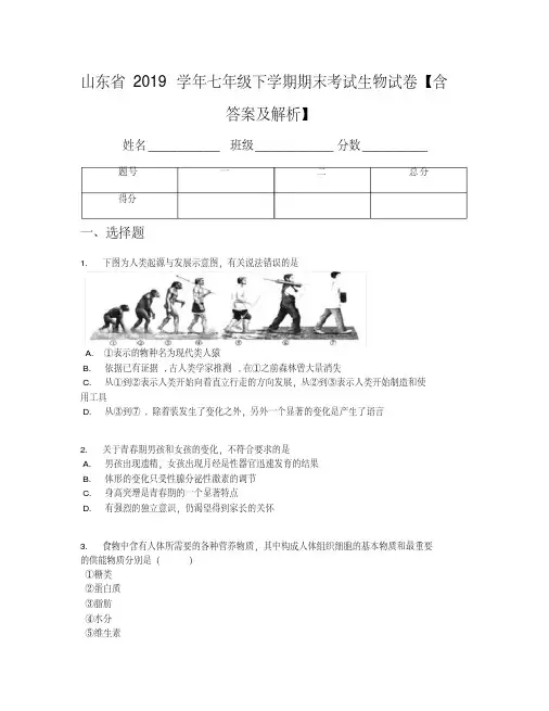 山东省2019学年七年级下学期期末考试生物试卷【含答案及解析】