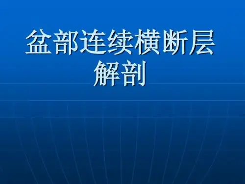 盆部断层解剖(08版)