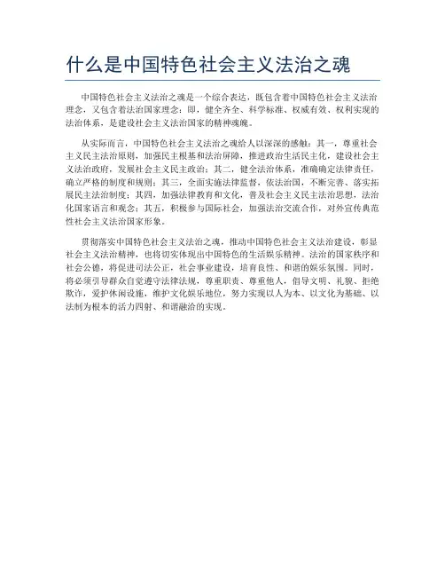 什么是中国特色社会主义法治之魂