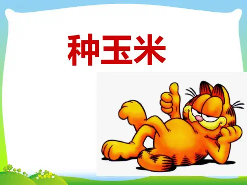 人教版二年级音乐上册：《种玉米》课件02.ppt
