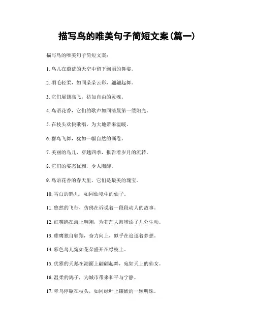 描写鸟的唯美句子简短文案(精选2篇)