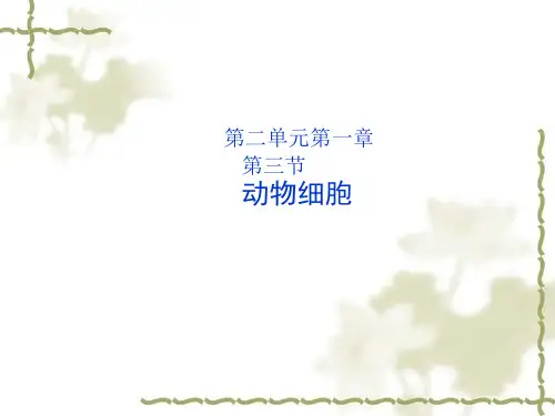 人教版七年级上册生物 第二单元第一章第三节动物细胞 (共25张PPT)