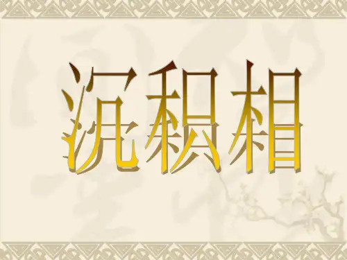 沉积相(沉积岩石学)资料