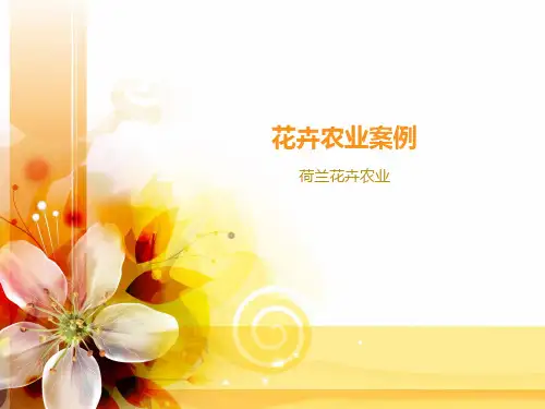 花卉农业案例
