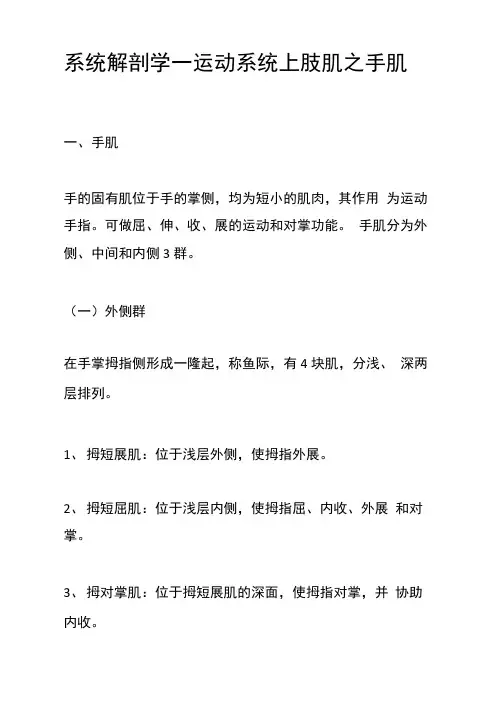 系统解剖学—运动系统上肢肌之手肌