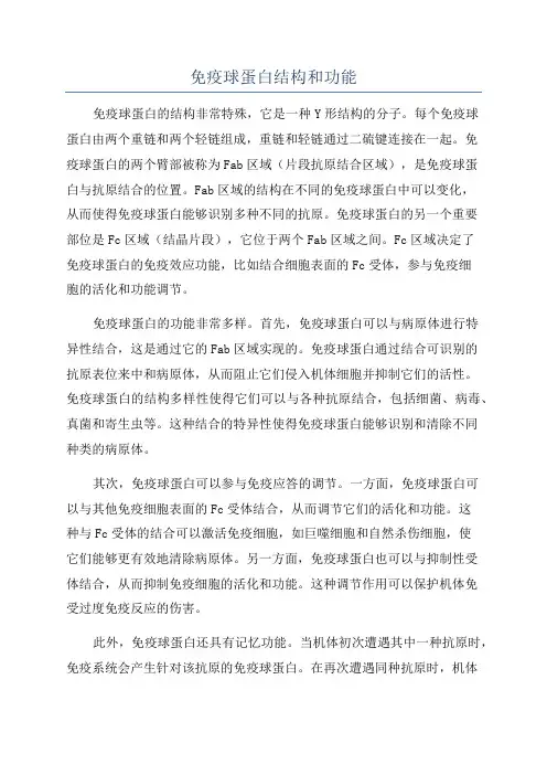免疫球蛋白结构和功能