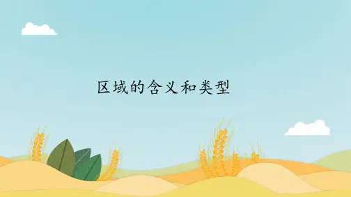 1.1区域的含义和类型