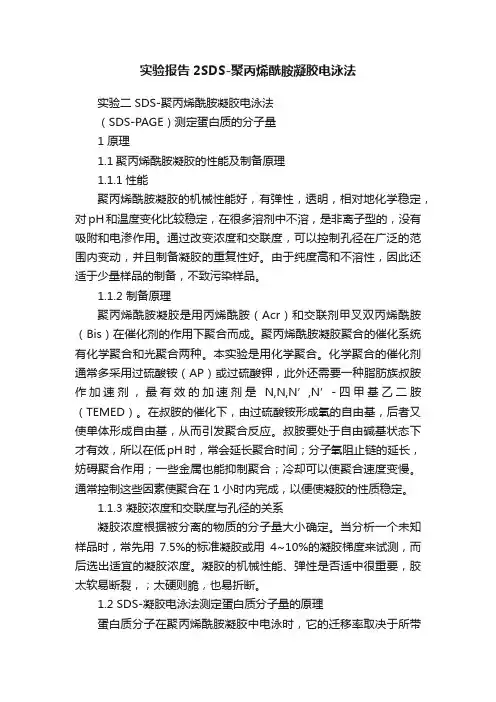实验报告2SDS-聚丙烯酰胺凝胶电泳法