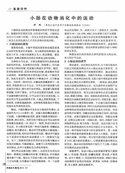 小肠在动物消化中的运动
