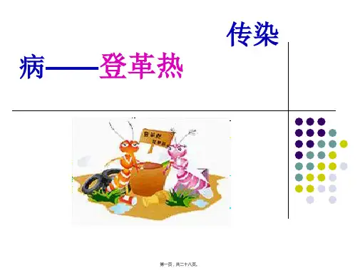 传染病—登革热介绍课件