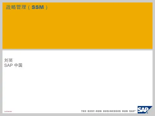 《SSM战略管理su》PPT幻灯片